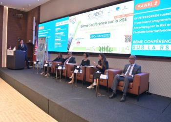 Conect et responsabilité sociétale de l’entreprise (RSE): entre une utopie de 33 milliards de dinars et le syndrome de Don Quichotte!