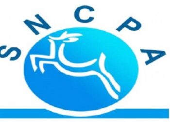 Reprise de l’activité de la SNCPA, Sotipapier en pleins travaux