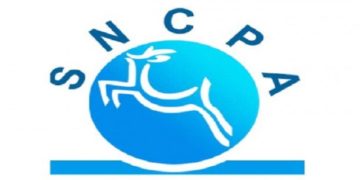 Reprise de l’activité de la SNCPA, Sotipapier en pleins travaux