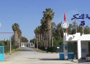 La Société tunisienne du sucre échoue à trouver des ouvriers à employer dans ses dépôts