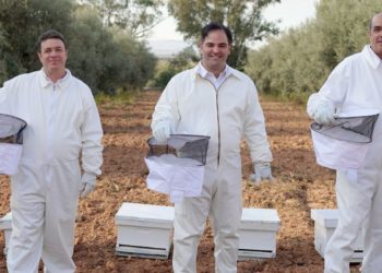 La startup tunisienne Beekeeper Tech annonce une levée de fonds de 640 mille dollars
