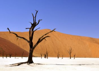 Développement durable – La BIAT annonce son adhésion à l’initiative de l’ABLC et signe le Climate Statement