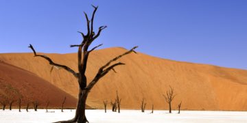 Développement durable – La BIAT annonce son adhésion à l’initiative de l’ABLC et signe le Climate Statement