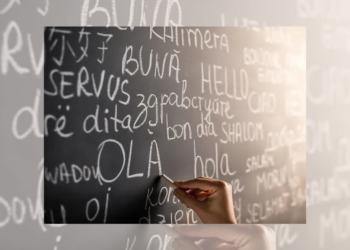 Le top 3 des pays recruteurs des compétences tunisiennes