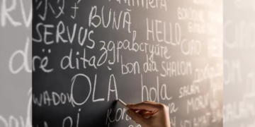 Le top 3 des pays recruteurs des compétences tunisiennes