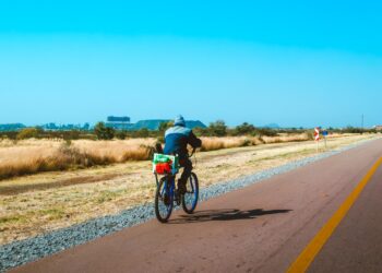 Plusieurs pays africains ont demandé la restructuration de leur dette, affirme un responsable de l’ONU