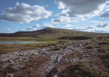 L’Europe vibre à la découverte de terres rares en Suède
