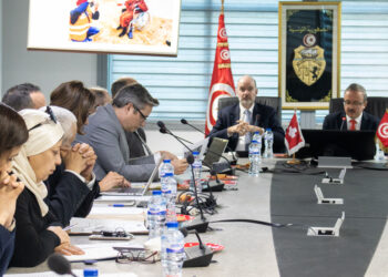 12e réunion annuelle du Comité de pilotage du programme de coopération suisse en Tunisie