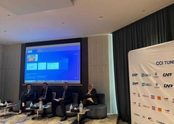 APII: une plateforme tunisienne officielle est en voie de création