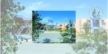 Startups: le Citet recherche des projets green