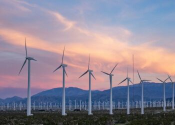 Lab of Tomorrow, le programme qui veut améliorer l’utilisation des énergies renouvelables en Tunisie