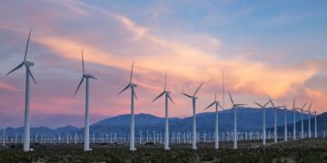 Lab of Tomorrow, le programme qui veut améliorer l’utilisation des énergies renouvelables en Tunisie