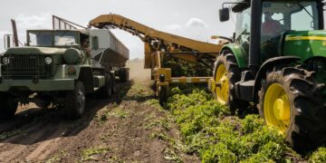 Les fonds d’investissement agricole s’améliorent de 19.3% et atteignent 13.72 MTND