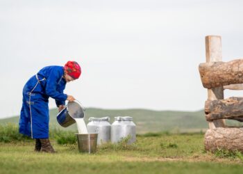 L’APII propose des sessions de formation sur la chaîne de valeur laitière