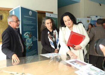 Elles ont entre 18 et 35 ans et ont réussi à franchir le cap du financement de leurs projets