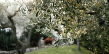 Exportation de produits alimentaires: un excédent d’un million de dinars