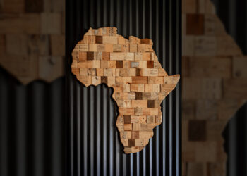 La diaspora tunisienne en Afrique: faut-il s’inquiéter?