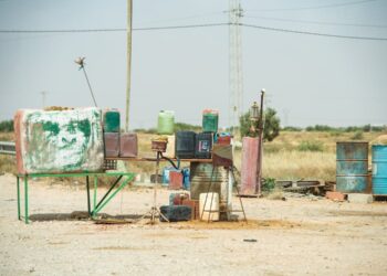 Voici pourquoi les Tunisiens optent pour l’entrepreneuriat