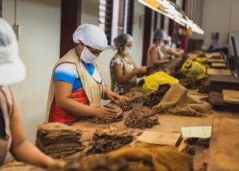 L’industrie du tabac: un potentiel à saisir