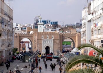 Lancement à Sfax d’un nouveau réseau de business angels, Syphax Angels