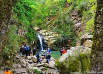 Trai’ELLE, un concept unique 100% pour elles