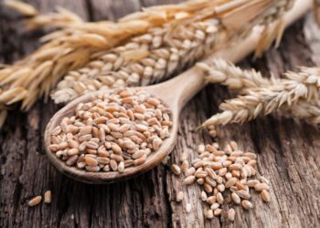 Baisse du prix moyen du blé sur le marché international