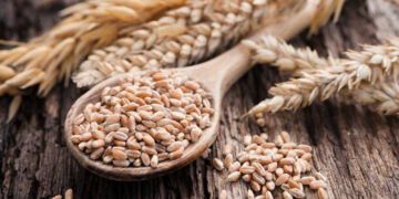 Baisse du prix moyen du blé sur le marché international