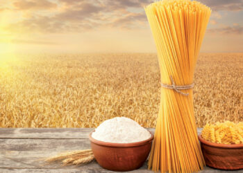 L’Amérique livre 25 000 tonnes de blé dur à la Tunisie