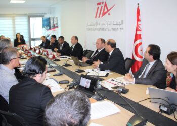 Tenue de la 15e session du conseil stratégique de la TIA