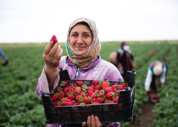 Agriculture: un nouvel espace dédié aux femmes rurales agricultrices