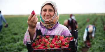 Agriculture: un nouvel espace dédié aux femmes rurales agricultrices