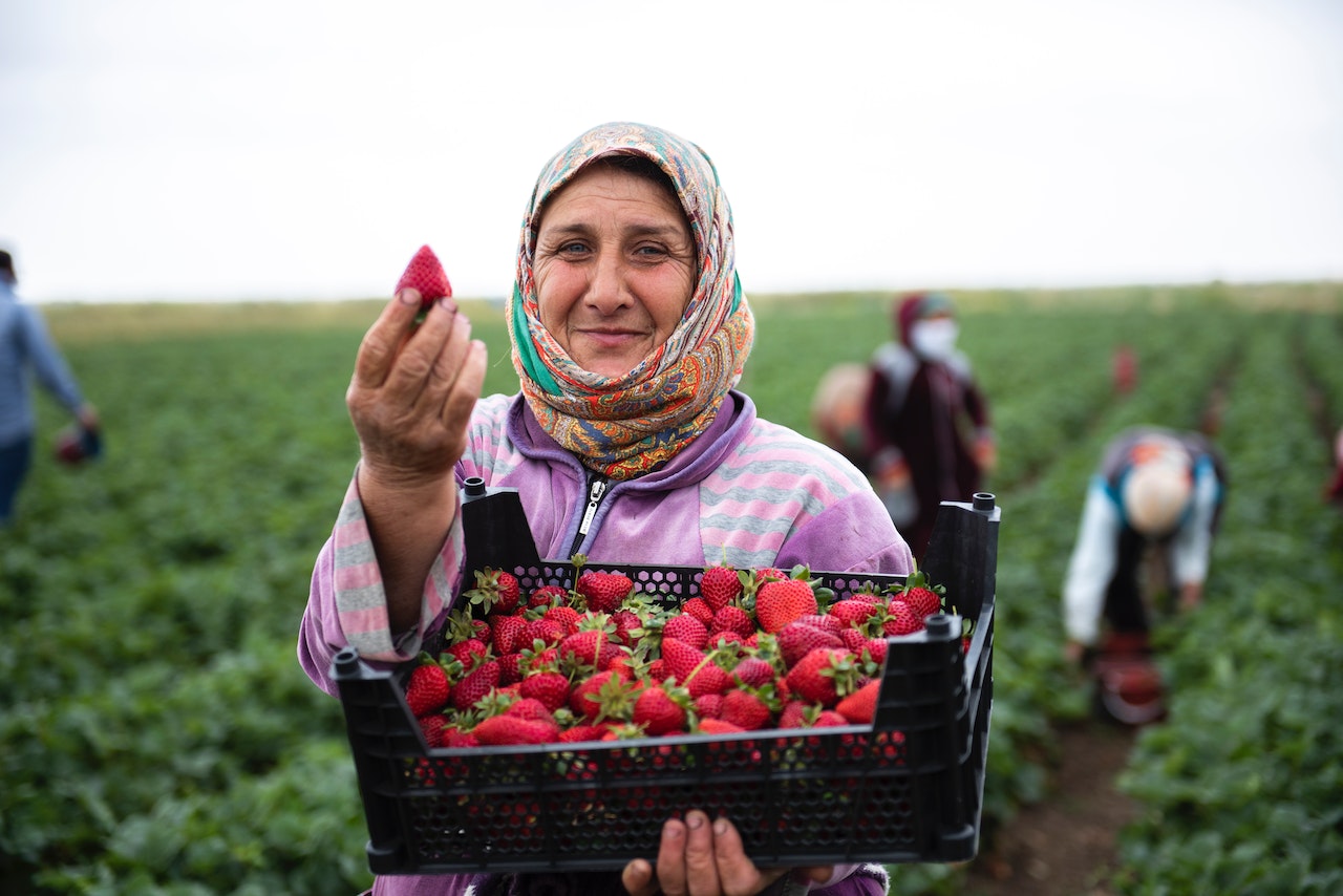 Agriculture un nouvel espace dédié aux femmes rurales agricultrices Managers