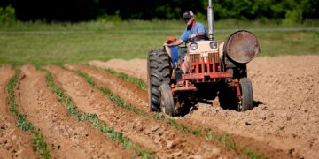 L’Apia investit 6,5 millions de dinars à La Manouba et Mahdia