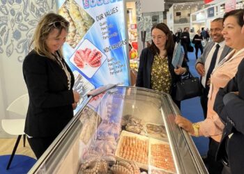 Seafood: la Tunisie recherche de nouvelles opportunités d’exportation pour ses produits de la mer