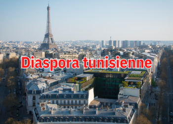 TRE: l’e-permis de conduire bientôt disponible