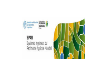 Cérémonie au siège de la FAO de reconnaissance de nouveaux Systèmes Ingénieux du Patrimoine Agricole Mondiale