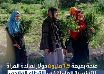 Subvention américaine de 1,5 million de dollars pour les femmes agricultrices en Tunisie