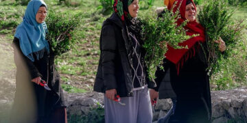 Subvention américaine de 1,5 million de dollars pour les femmes agricultrices en Tunisie