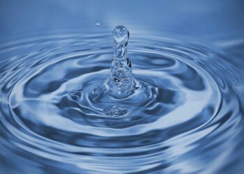 Malgré les derniers pluies, la région de Kébili connaît une surexploitation des ressources non-renouvelables de 270%