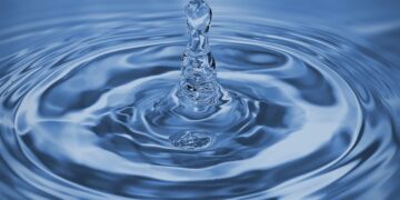 Malgré les derniers pluies, la région de Kébili connaît une surexploitation des ressources non-renouvelables de 270%