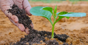De la crise à la reprise: la Tunisie gagne du terrain en matière d’exportation de phosphate vers les marchés européens et asiatiques