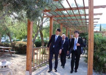Coopération entre le Japon et la Tunisie pour préserver le jardin japonais de Tunis