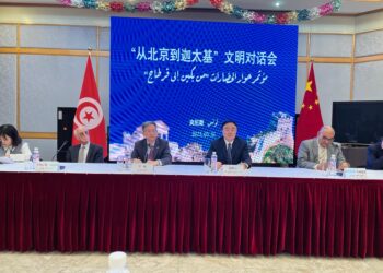 Coopération touristique sino-tunisienne: une liaison aérienne directe entre les deux pays?