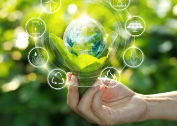 Ecosystème entrepreneurial vert en Tunisie: les chiffres