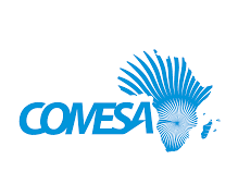 La Tunisie participe au 22e Sommet du Comesa en Zambie