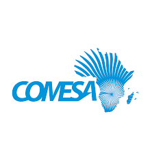 La Tunisie participe au 22e Sommet du Comesa en Zambie