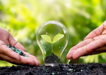 La Tunisie met en place 50 mesures pour accélérer la transition énergétique