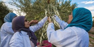 Zaghouan: approbation de 17 projets d’autonomisation économique d’une valeur de 363 000 dinars