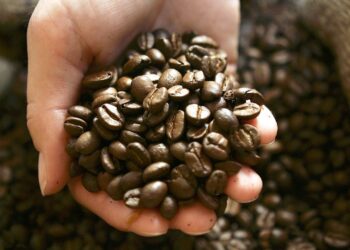Le prix d’un kilo de café passe à 19,863 TND