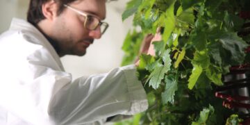 Une ferme verticale pour la sylviculture présentée à l’ONU